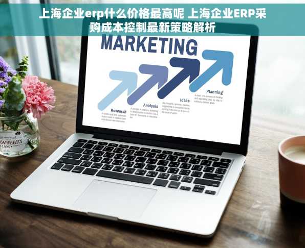 上海企业erp什么价格最高呢 上海企业ERP采购成本控制最新策略解析