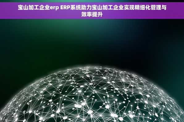 宝山加工企业erp ERP系统助力宝山加工企业实现精细化管理与效率提升