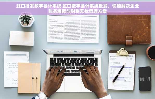虹口批发数字会计系统 虹口数字会计系统批发，快速解决企业账务难题与财税无忧管理方案