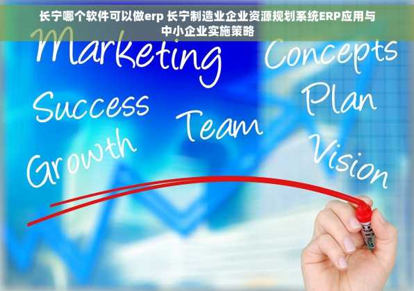 长宁哪个软件可以做erp 长宁制造业企业资源规划系统ERP应用与中小企业实施策略