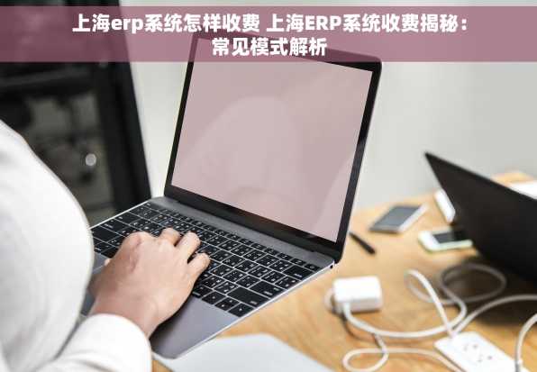 上海erp系统怎样收费 上海ERP系统收费揭秘：常见模式解析