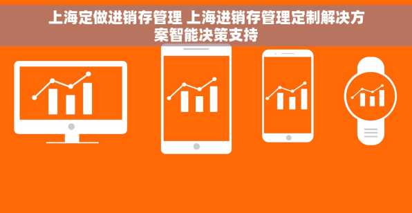 上海定做进销存管理 上海进销存管理定制解决方案智能决策支持