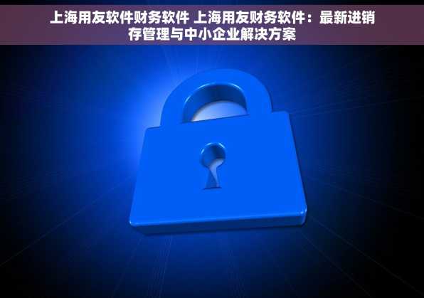 上海用友软件财务软件 上海用友财务软件：最新进销存管理与中小企业解决方案
