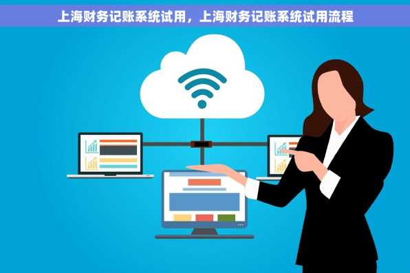 上海财务记账系统试用，上海财务记账系统试用流程