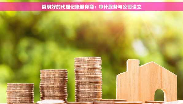 崇明好的代理记账服务商：审计服务与公司设立