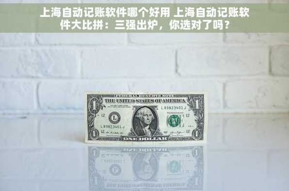 上海自动记账软件哪个好用 上海自动记账软件大比拼：三强出炉，你选对了吗？