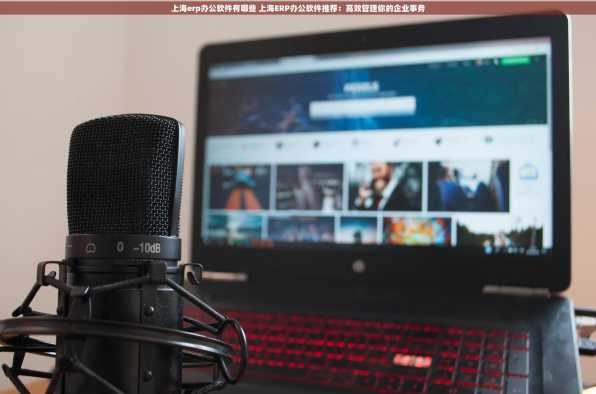 上海erp办公软件有哪些 上海ERP办公软件推荐：高效管理你的企业事务