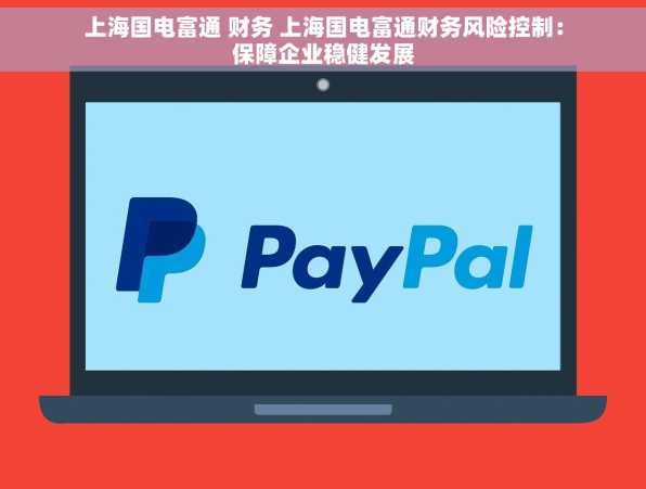 上海国电富通 财务 上海国电富通财务风险控制：保障企业稳健发展