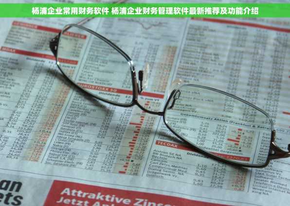 杨浦企业常用财务软件 杨浦企业财务管理软件最新推荐及功能介绍