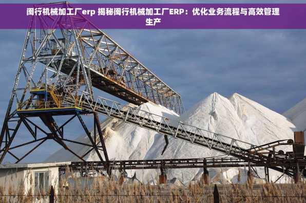 闽行机械加工厂erp 揭秘闽行机械加工厂ERP：优化业务流程与高效管理生产