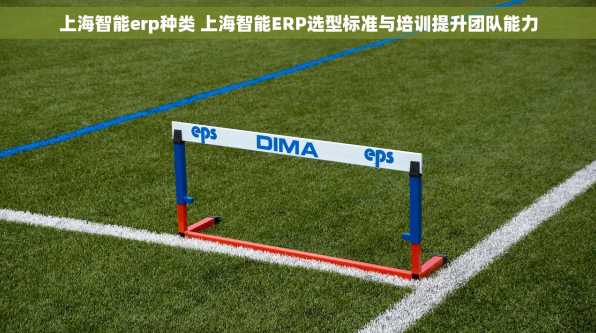 上海智能erp种类 上海智能ERP选型标准与培训提升团队能力