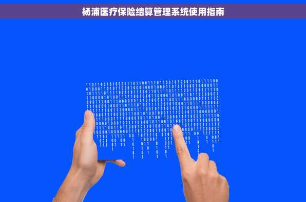 杨浦医疗保险结算管理系统使用指南