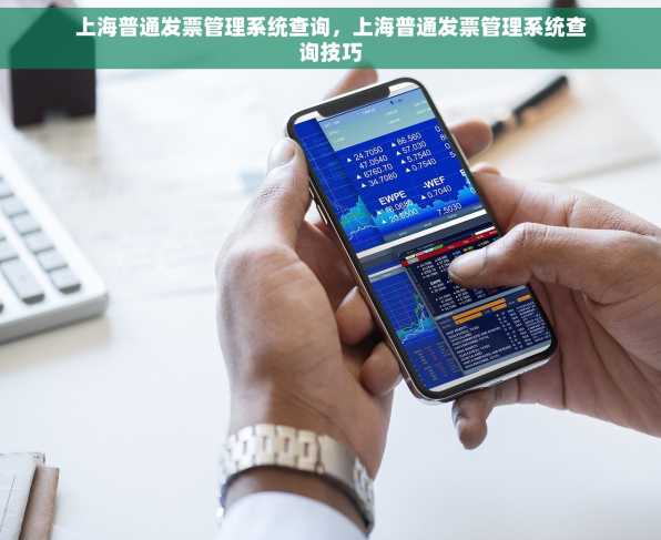 上海普通发票管理系统查询，上海普通发票管理系统查询技巧