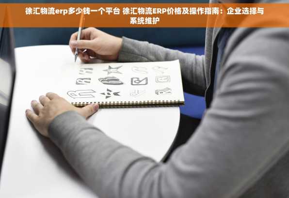 徐汇物流erp多少钱一个平台 徐汇物流ERP价格及操作指南：企业选择与系统维护