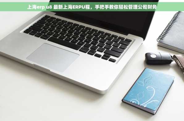 上海erp u8 最新上海ERPU程，手把手教你轻松管理公司财务