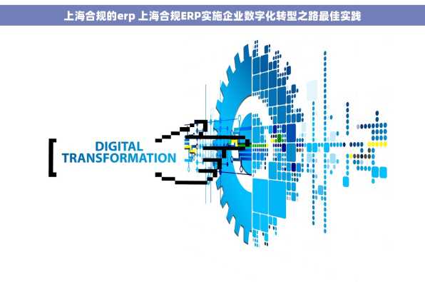 上海合规的erp 上海合规ERP实施企业数字化转型之路最佳实践