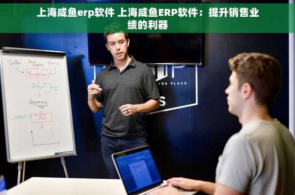 上海咸鱼erp软件 上海咸鱼ERP软件：提升销售业绩的利器