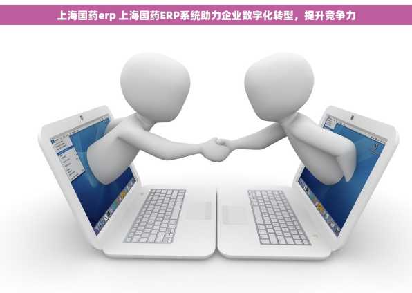 上海国药erp 上海国药ERP系统助力企业数字化转型，提升竞争力