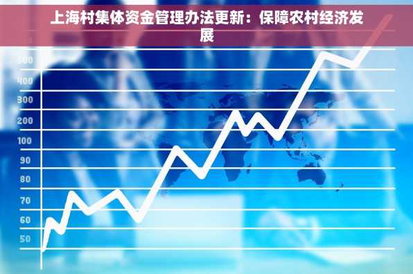 上海村集体资金管理办法更新：保障农村经济发展