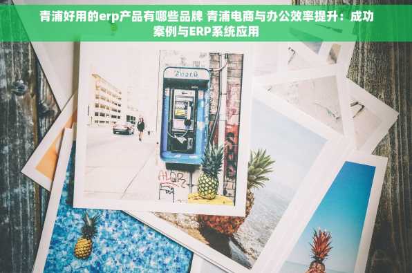 青浦好用的erp产品有哪些品牌 青浦电商与办公效率提升：成功案例与ERP系统应用