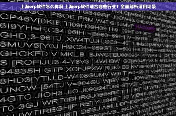 上海erp软件怎么样啊 上海erp软件适合哪些行业？全面解析适用场景