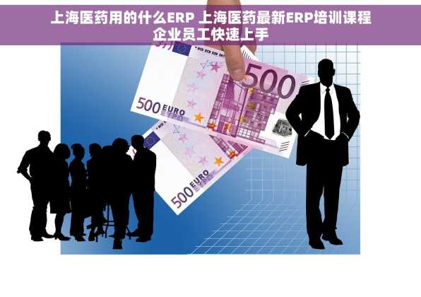 上海医药用的什么ERP 上海医药最新ERP培训课程企业员工快速上手