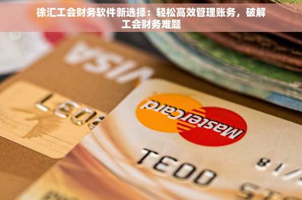 徐汇工会财务软件新选择：轻松高效管理账务，破解工会财务难题
