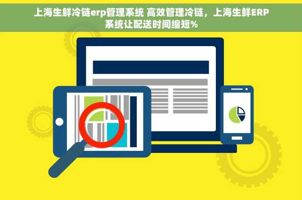 上海生鲜冷链erp管理系统 高效管理冷链，上海生鲜ERP系统让配送时间缩短%
