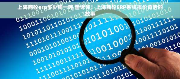 上海商砼erp多少钱一吨 告诉你！上海商砼ERP系统报价背后的故事