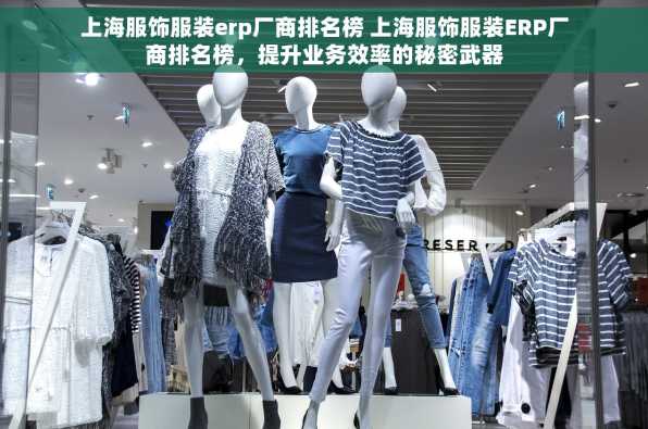 上海服饰服装erp厂商排名榜 上海服饰服装ERP厂商排名榜，提升业务效率的秘密武器