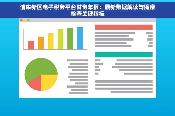 浦东新区电子税务平台财务年报：最新数据解读与健康检查关键指标