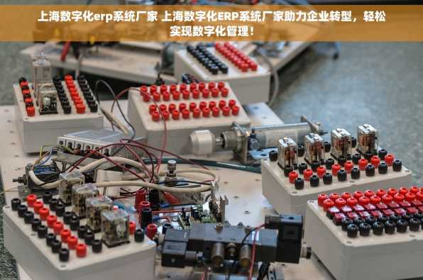 上海数字化erp系统厂家 上海数字化ERP系统厂家助力企业转型，轻松实现数字化管理！