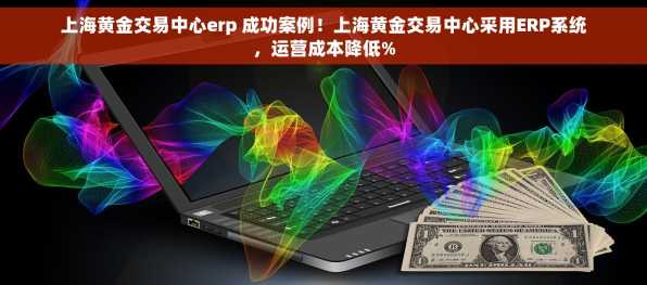 上海黄金交易中心erp 成功案例！上海黄金交易中心采用ERP系统，运营成本降低%