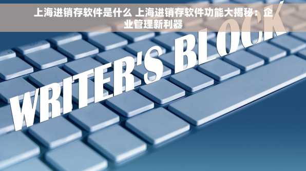 上海进销存软件是什么 上海进销存软件功能大揭秘：企业管理新利器