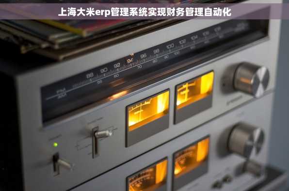 上海大米erp管理系统实现财务管理自动化