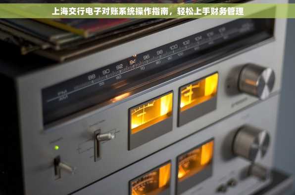 上海交行电子对账系统操作指南，轻松上手财务管理