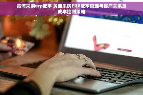 黄浦采购erp成本 黄浦采购ERP成本管理与客户关系及成本控制策略