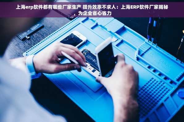 上海erp软件都有哪些厂家生产 提升效率不求人：上海ERP软件厂家揭秘，为企业省心省力