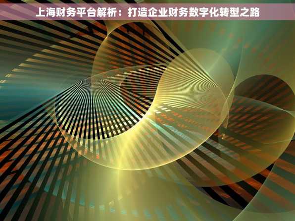 上海财务平台解析：打造企业财务数字化转型之路