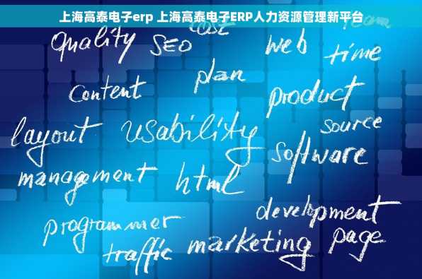 上海高泰电子erp 上海高泰电子ERP人力资源管理新平台