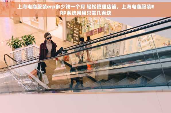 上海电商服装erp多少钱一个月 轻松管理店铺，上海电商服装ERP系统月租只需几百块