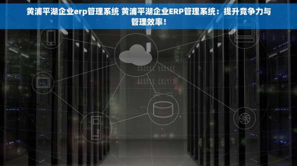 黄浦平湖企业erp管理系统 黄浦平湖企业ERP管理系统：提升竞争力与管理效率！