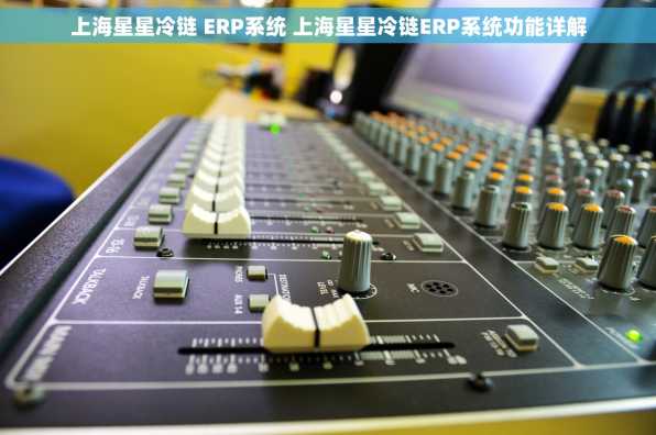 上海星星冷链 ERP系统 上海星星冷链ERP系统功能详解