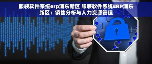 服装软件系统erp浦东新区 服装软件系统ERP浦东新区：销售分析与人力资源管理
