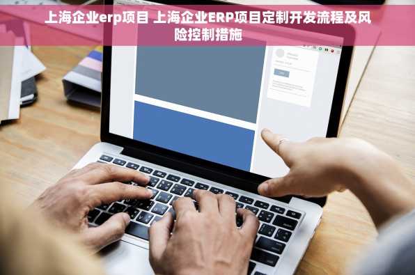 上海企业erp项目 上海企业ERP项目定制开发流程及风险控制措施