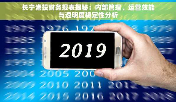 长宁港投财务报表揭秘：内部管理、运营效能与透明度稳定性分析