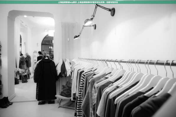 上海品牌服装erp报价 上海品牌服装ERP报价对比评测：功能与性价比
