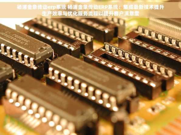 杨浦金象传动erp系统 杨浦金象传动ERP系统：集成最新技术提升生产效率与优化服务流程以提升客户满意度