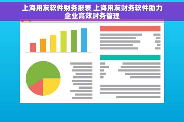 上海用友软件财务报表 上海用友财务软件助力企业高效财务管理