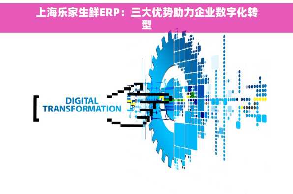 上海乐家生鲜ERP：三大优势助力企业数字化转型